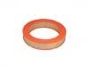 Air Filter:443 4897